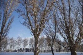 四季的近义词有哪些？