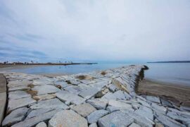 从容的近义词有哪些？