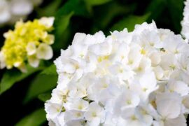 测绘的近义词有哪些？