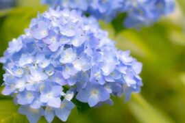 王靖雯不胖《善变》歌词评论及赏析