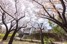 噩梦的近义词有哪些？