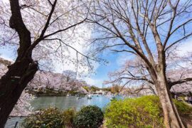 财产的近义词有哪些？