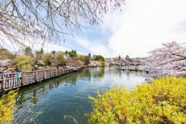 李玉刚《万疆》歌词评论及赏析