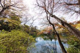 美好的近义词有哪些？