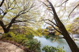 感触的近义词有哪些？