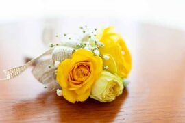 美称的近义词有哪些？