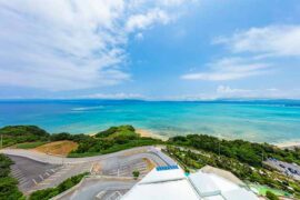 畅想的近义词有哪些？