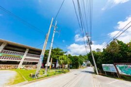 彩虹的近义词有哪些？