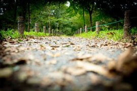 波动的近义词有哪些？