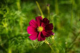 变卦的近义词有哪些？