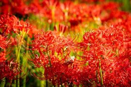 周兴哲《永不失联的爱》歌词评论及赏析