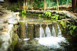 郑鱼《怎叹》歌词评论及赏析