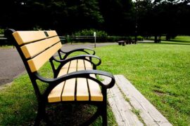 张碧晨《光的方向》歌词评论及赏析