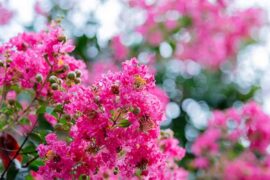 变更的近义词有哪些？