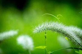 周杰伦《反方向的钟》歌词评论及赏析