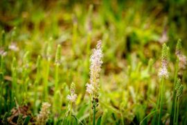 财富的近义词有哪些？