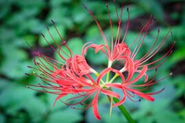 丰富的近义词有哪些？