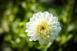 究竟的近义词有哪些？