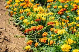 竟然的近义词有哪些？