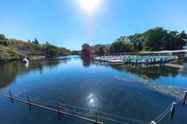 插队的近义词有哪些？