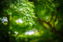 非常的近义词有哪些？