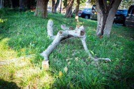 噩运的近义词有哪些？