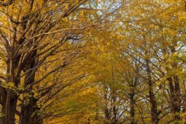 刚好的近义词有哪些？