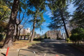 暴动的近义词有哪些？