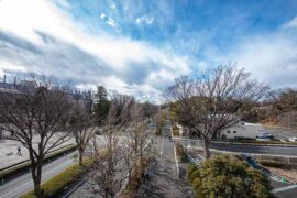 尝试的近义词有哪些？