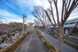 井胧、井迪《骁》歌词评论及赏析