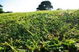 沉鱼落雁是褒义词吗？