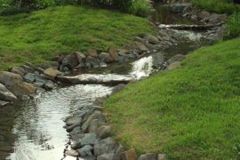 好学是褒义词吗？