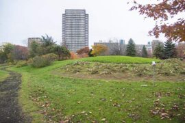 坚持不懈是褒义词吗？