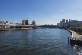 天生丽质是褒义词吗？