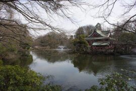 柔美是褒义词吗？