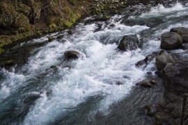 智慧是褒义词吗？