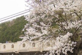 秀外慧中是褒义词吗？