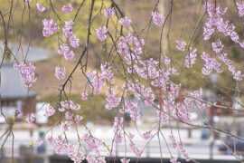 心平气和是褒义词吗？