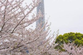 和蔼可亲是褒义词吗？