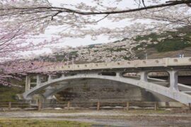 日积月累是褒义词吗？