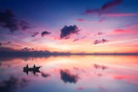 忠心是褒义词吗？