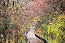 文质彬彬是褒义词吗？