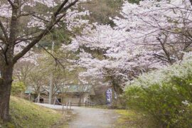 顶天立地是褒义词吗？