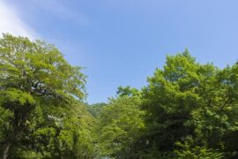 一丝不苟是褒义词吗？