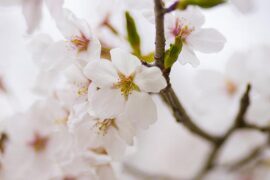 锲而不舍是褒义词吗？