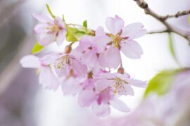 变态是贬义词吗？