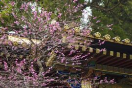 脆弱是贬义词吗？