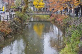 弹冠相庆是贬义词吗？