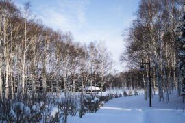 肤浅是贬义词吗？