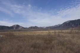 见利忘义是贬义词吗？